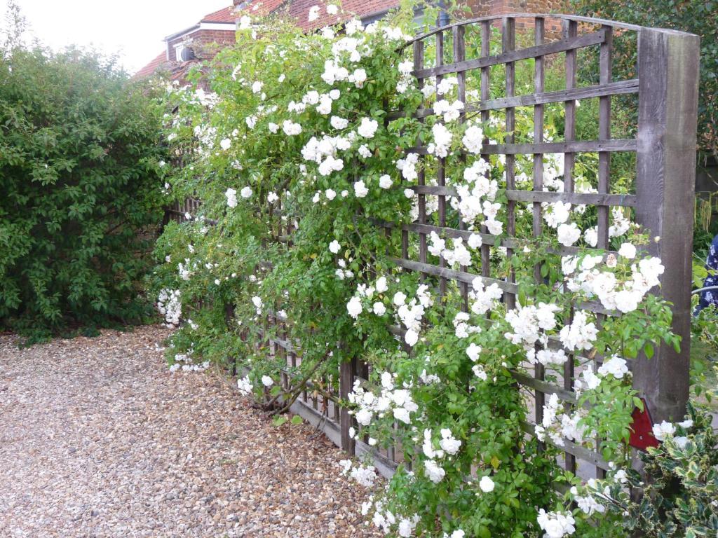 Ashdene House Bed & Breakfast Dersingham Exterior photo